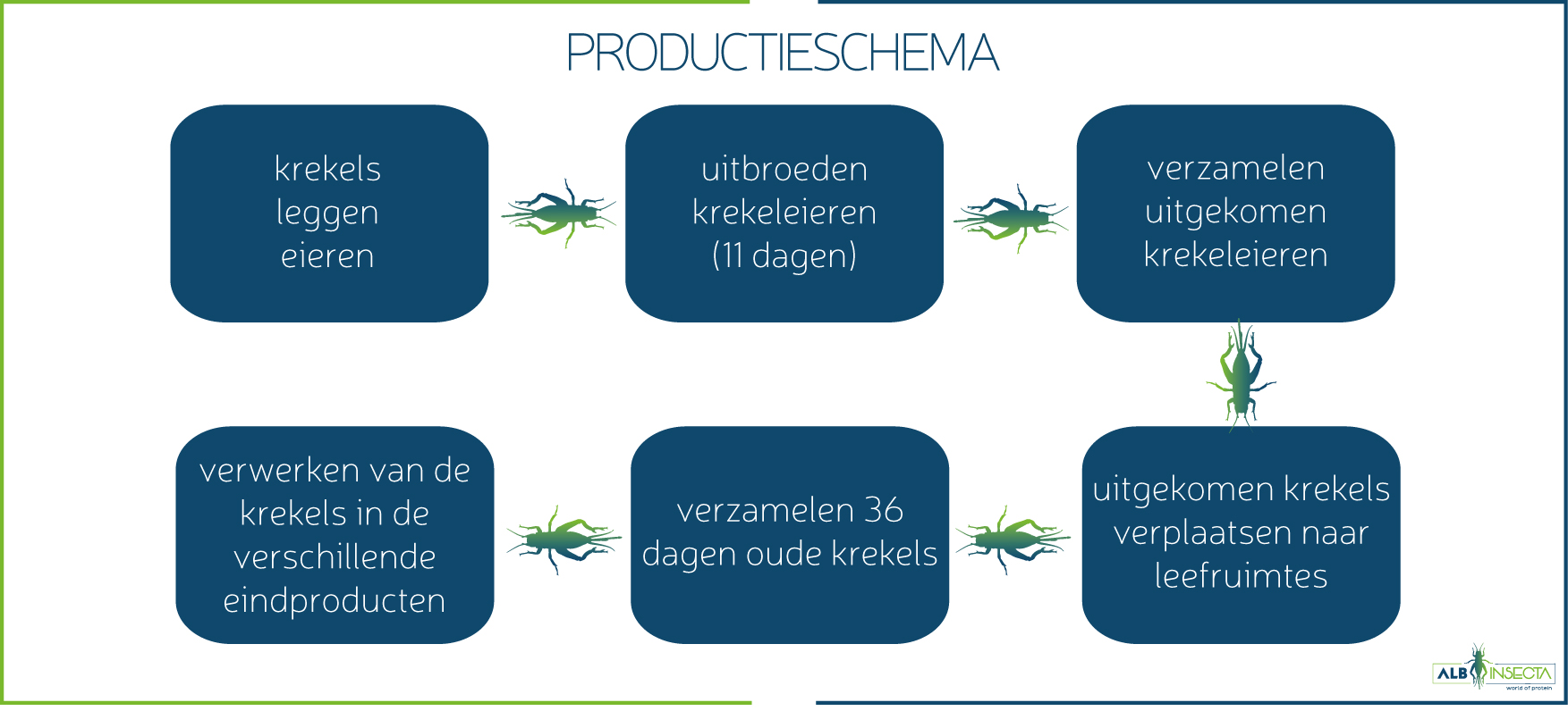 productieschema